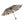 Daisy Umbrella – UPF50+ 