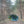 Forest Umbrella – UPF50+ 