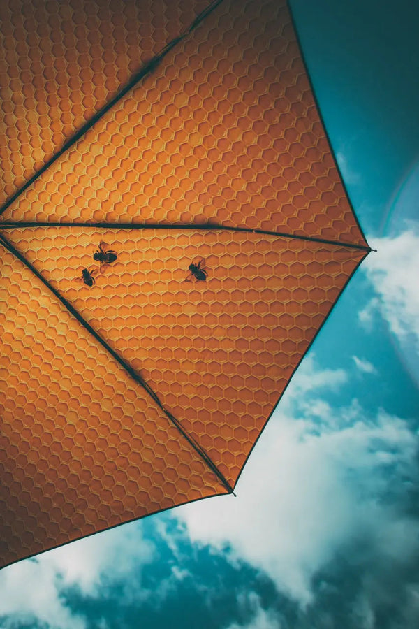 Honey Umbrella – UPF50+ 