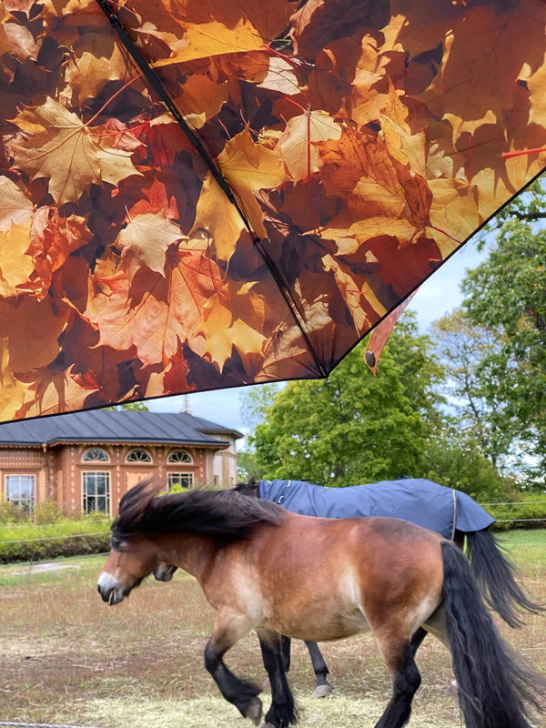 Autumn Umbrella – UPF50+ 