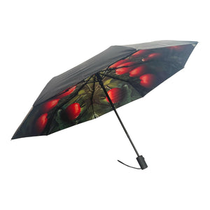 Umbrella collection - UPF 50+ 