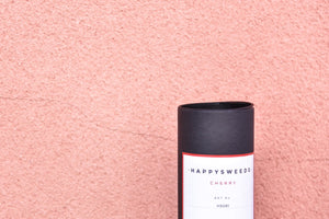 Cherry Blossom Umbrella - UPF50+ 