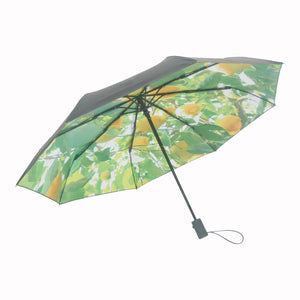 Umbrella collection - UPF 50+ 