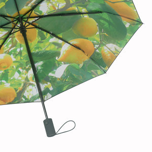 Lemon Umbrella – UPF50+ 