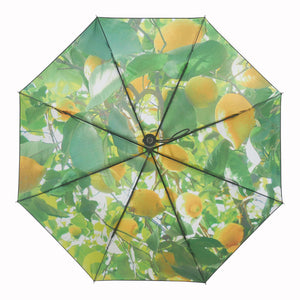 Lemon Umbrella – UPF50+ 