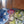 Forest Umbrella – UPF50+ 