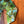 Paradise Umbrella – UPF50+ 