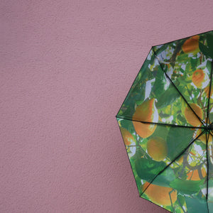 Lemon Umbrella – UPF50+ 